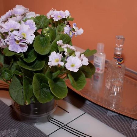 Central Apartment Maria سيبيو المظهر الخارجي الصورة
